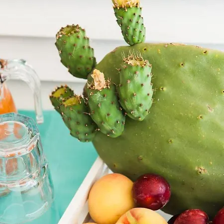 Accussi Affittacamere